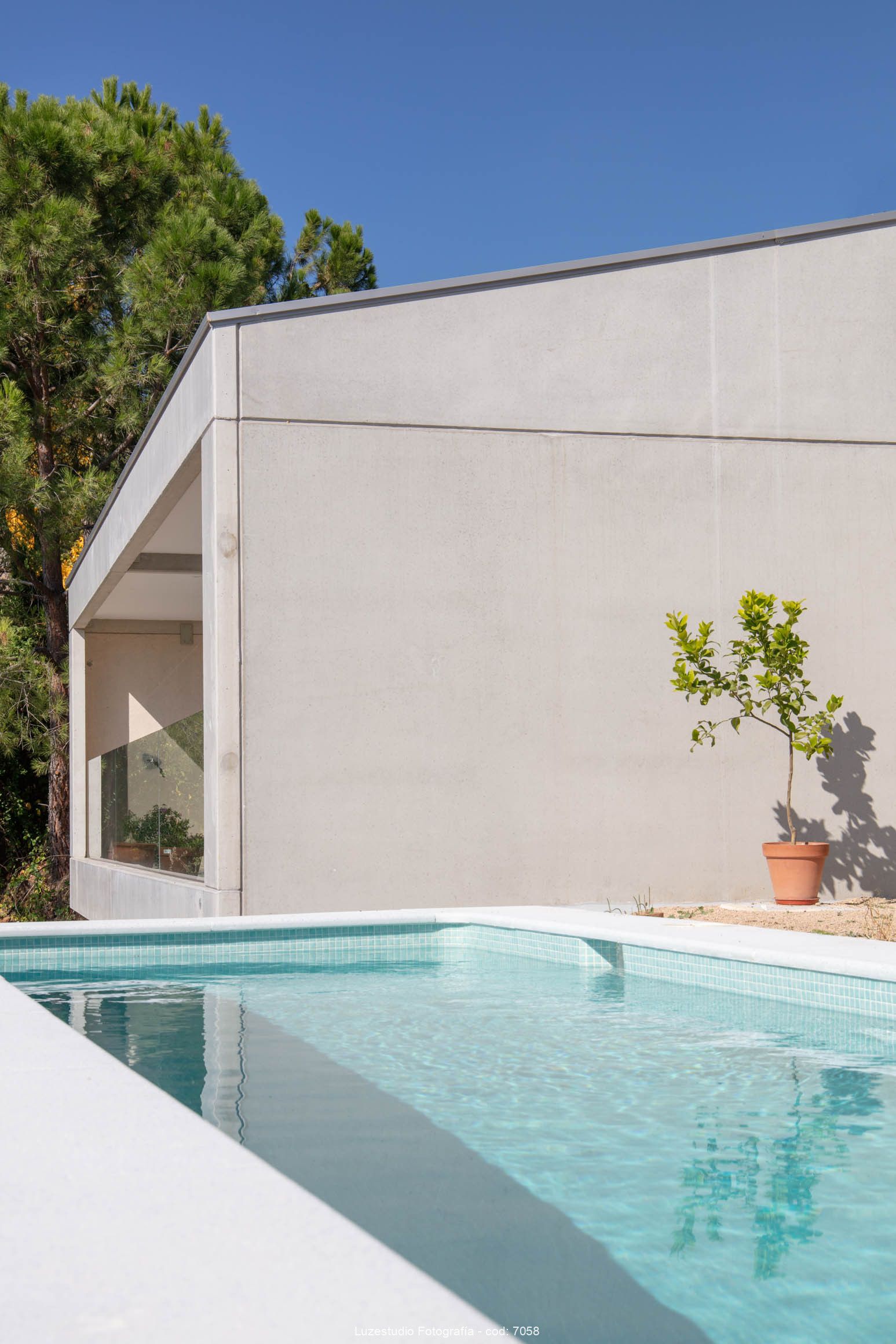 agua cristalina de piscina con casa modular de hormigon y maceta con limonero al fondo